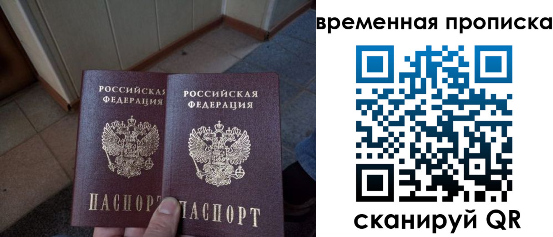 прописка поиск в Кирове